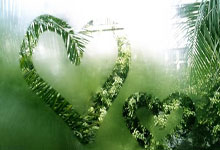 九游会网页登录 -欧冠赛后走向成谜，华盛顿奇才内部沟通，悬念犹存，控场能力受关注的简单介绍